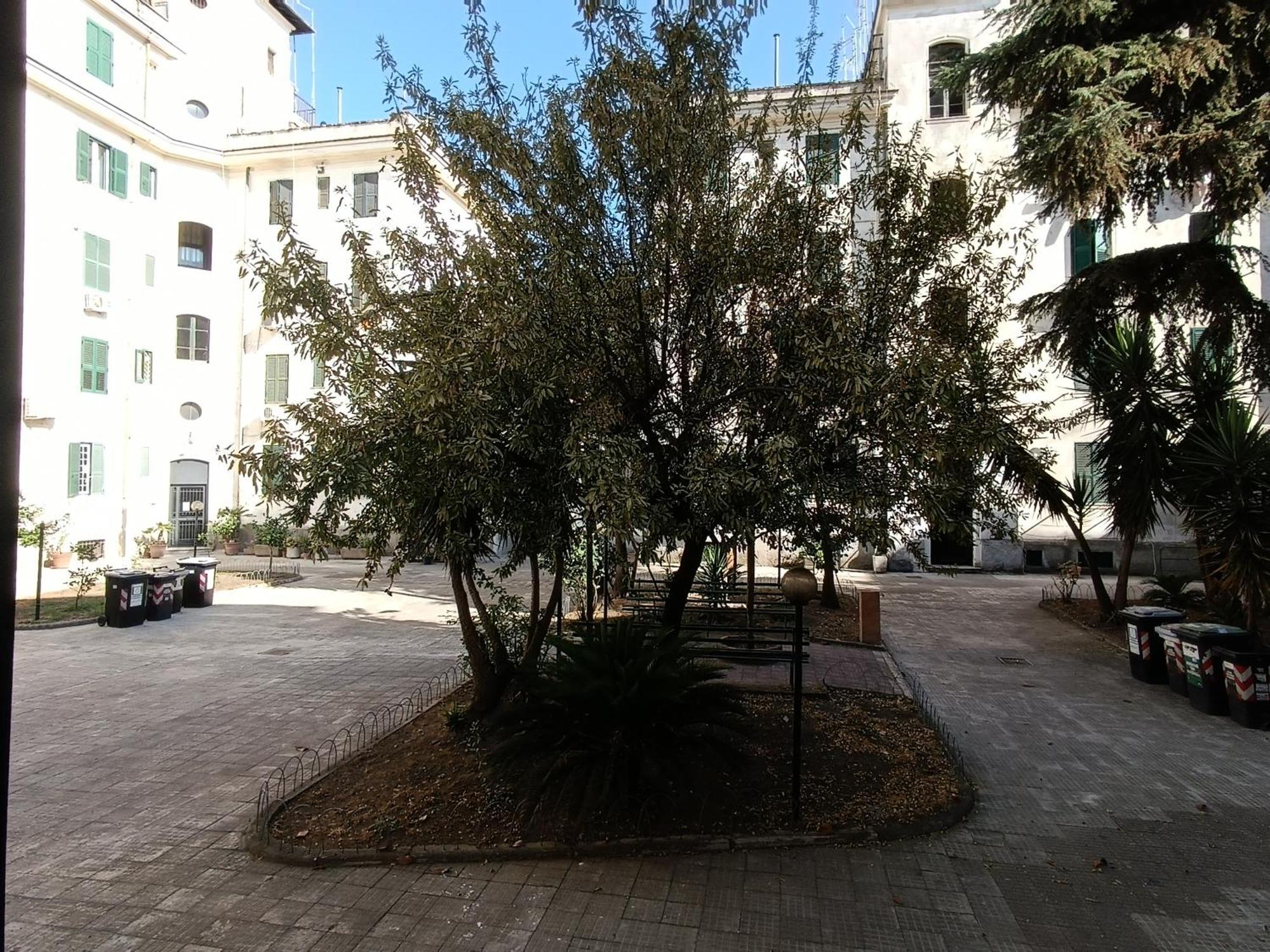 Apartamento Testaccio Charme Roma